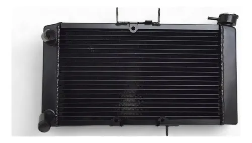 Tiger Radiator Fiche Radiador Tiger 800 Novo - 01 Ano De Garantia | Parcelamento sem juros