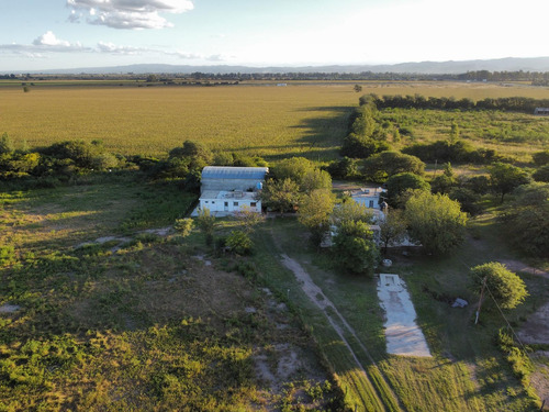 Casa De Campo - Santa Ana - Casa, Galpón Y Departamento