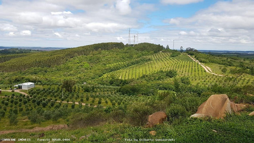 Imagem 1 de 15 de Oportunidade Para Investidor Para Venda Em Barra Do Ribeiro, Alto Douradilho - Barra Do Ribeiro - Rs, 6 Dormitórios, 1 Suíte, 5 Banheiros, 5 Vagas - 4014_1-2043950