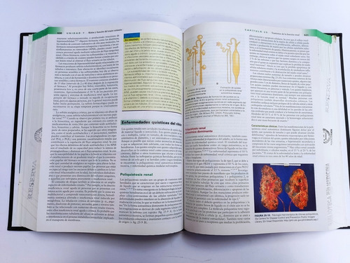 Libro Fundamentos De Fisiopatologia M. Porth 159h5 (Usado)