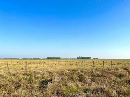 Imagen 17 de 20 de Venta Chacra 15 Hectareas Cañuelas Buenos Aires