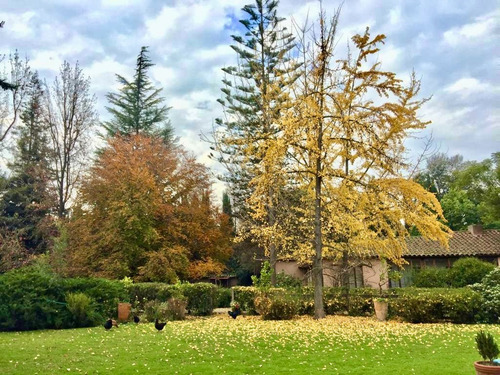 Espectacular Parque Con 3 Casas En El Corazon De Pirque