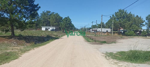 Imagen 6 de 9 de Terrenos Financiados A Pura Cuota En El Pinar Proximos A Gianattassio