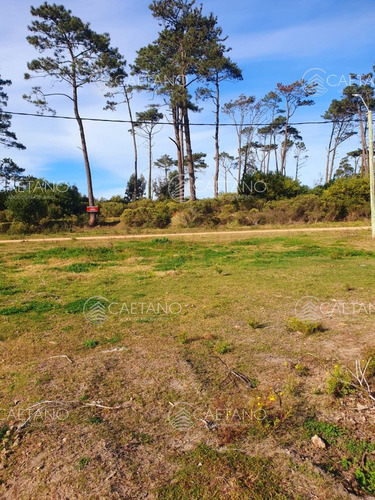 Venta De Terreno De 1443 M2 Frente Al Club De Golf De Punta Del Este.