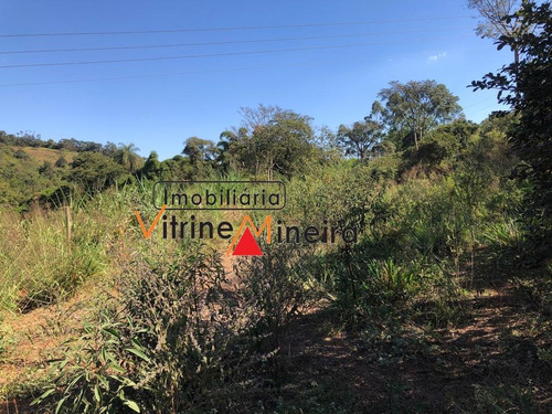 Imagem 6 de 12 de Chácara Para Venda Em Itatiaiuçu, Capão Do Rosa - 70462_2-1184226