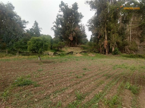 Imagen 7 de 15 de Venta Terreno En Puente Alto, 16.000 M2 Superficie