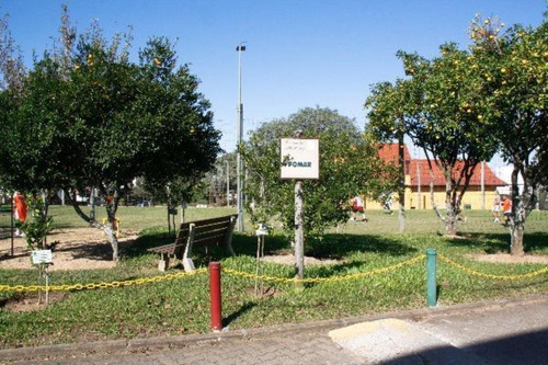 Imagem 16 de 30 de Terreno - Te00024 - 69351236