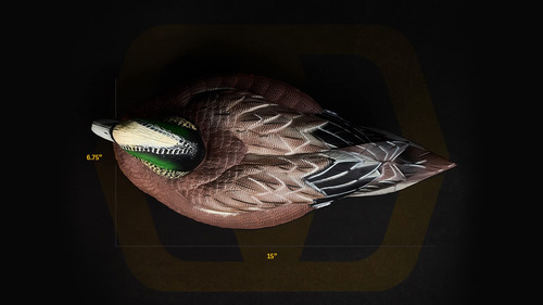 Lifetime Decoys Hydrofoam Wigeon, Ligera