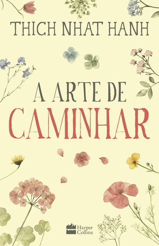 Livro A Arte De Caminhar