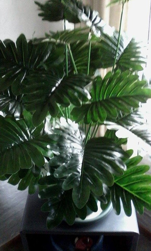 Imagen 5 de 10 de Aralia 18 Hojas 70 Cm - Plantas De Interior Artificiales