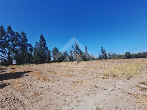 Agrícola En Arriendo En Talagante