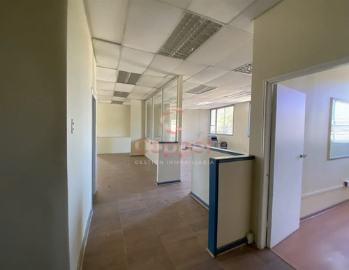 Propiedad En Arriendo, Sector Centro, Copiapó
