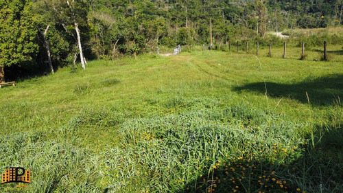 Imagem 14 de 30 de Chácara À Venda 7.500m2 Terreno Contendo Agua, Energia Elétrica, Casa Localizada Na Estrada Dos Borges Bairro Barrinha - São Lourenço Da Serra/sp - Ch07793 - 70644167