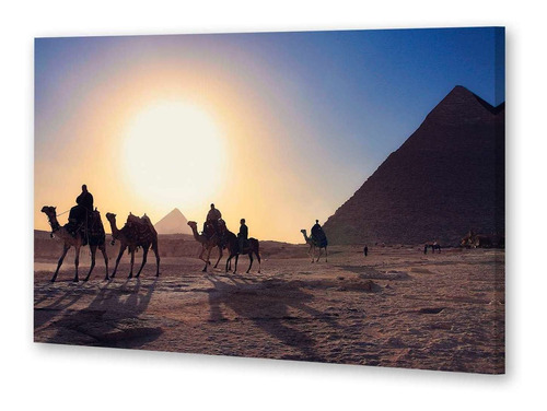 Cuadro 60x90cm Camello Desierto Animal Egipto Arena M4