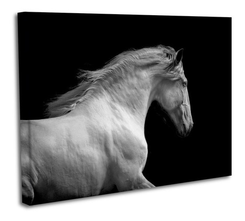 Cuadro Lienzo Canvas 80x120cm Caballo Ilustrado Fondo Negro