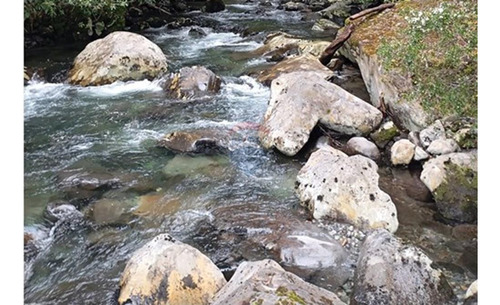 Venta Parcela Pucón Con Acceso A Rio Carhuello