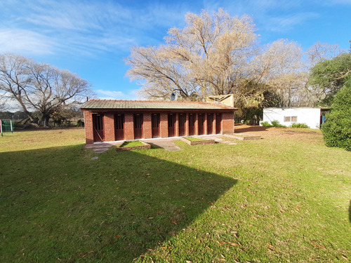 Venta De Camping - Ruta 226