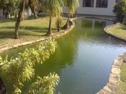 Rt Terreno Direto Com O Proprietário (guarulhos)