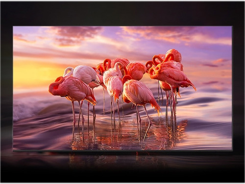 Tv Smart Qled 55p Qn55q65b Samsung