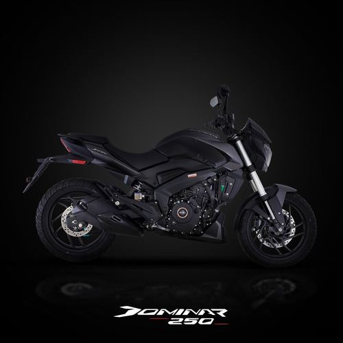 Imagen 19 de 22 de Bajaj Dominar 250 Abs 0km Ug Inyeccion