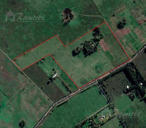Imagen 11 de 15 de Campo En Venta - General Rodríguez