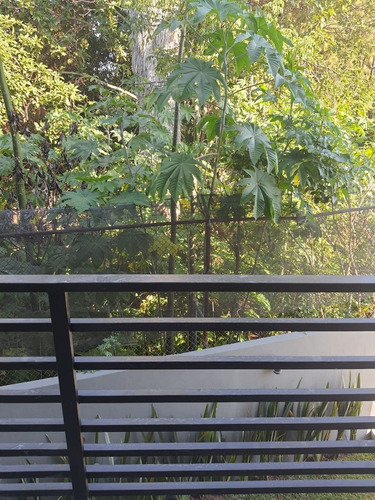 Imagen 5 de 15 de Departamento En Venta En Torre Privee Colomos