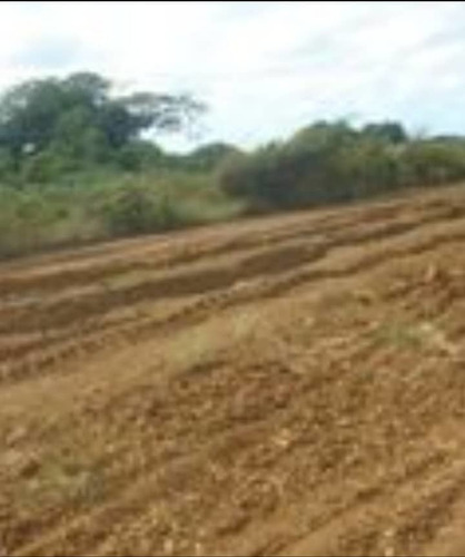Imagen 2 de 7 de Se Vende Terreno Santa Maria Ipire Guarico Ve01-1434gu-mgue