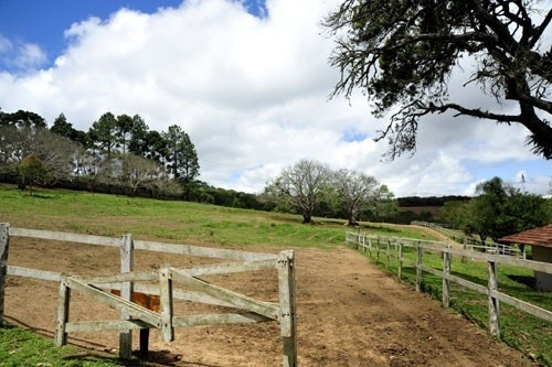 Imagem 5 de 30 de Haras A Venda Estado De Sao Paulo Cidade Piedade ( 4132 )