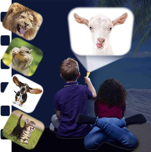 Brainstorma Juguetes Antorcha Y Proyector De Animales Divert