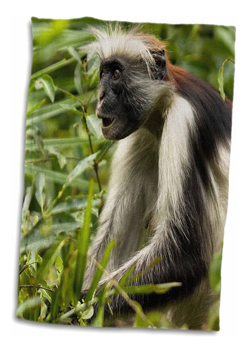 3d Rose Red Colobus Monkeyvolcanoes Nfrwandaaf35 Jmc000...