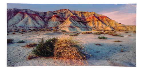 Póster Decorativo Para Acuarios, 91 X 50 Cm, Estampado De Mo