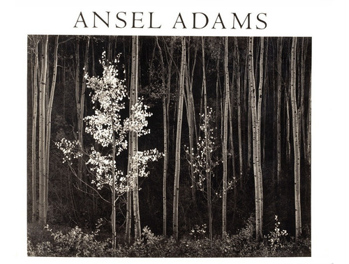 12 Fotos Clásicas De Ansel Adams, Decora Tu Oficina O Casa