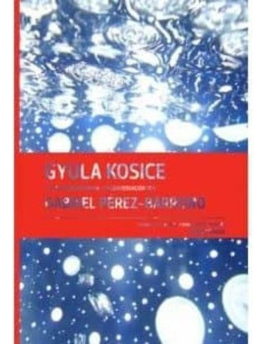 Gyula Kosice En Conversacion Con Gabriel, De Perez Barreiro, Gabriel. Editorial Rm, Tapa Dura En Español