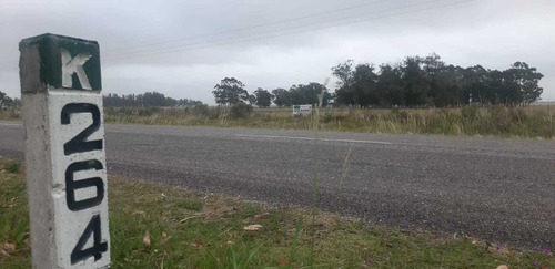 Venta Campo Chacra Rocha Cabo Polonio 20 Hectáreas Ruta 10
