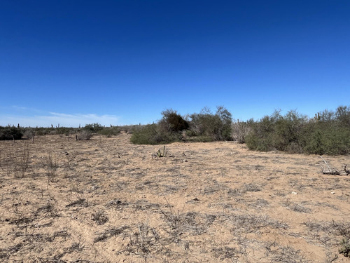 Km 43, El Mezquite De Don Dominguez