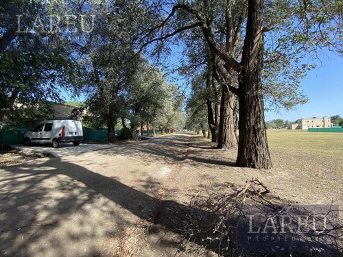 Imagen 3 de 8 de Casa - Casuarinas Del Pilar