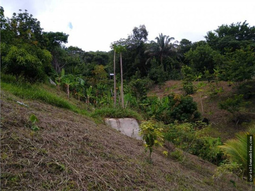 Venta Casa Finca Amoblada Antes De Minca