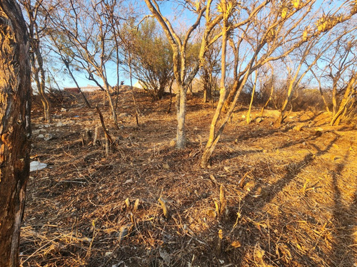 Venta Lote Jazmín De Vistas Espectaculares Con Todos Los Servicios Y Proyecto Incluído Dentro De Fracc Rancho San Diego Ixtapan De La Sal Edomex