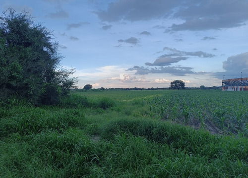 Se Venden 2 Hectáreas Michinelas Celaya