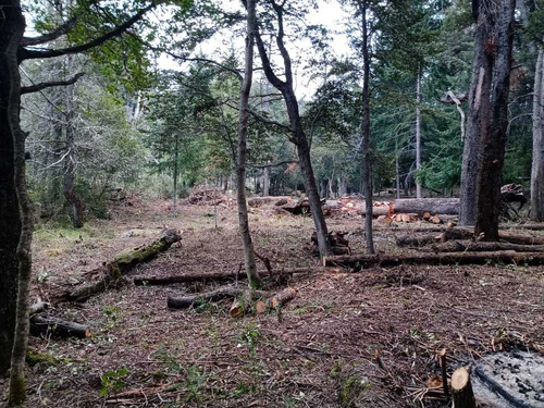 Terreno En Venta En Villa Traful Con Arboles Añejos