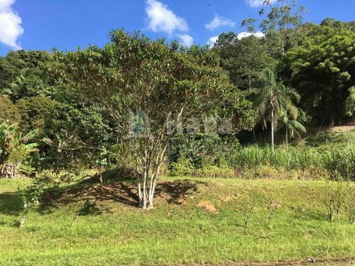 Imagem 19 de 30 de Chácara À Venda Em Gaspar/sc - 1756c