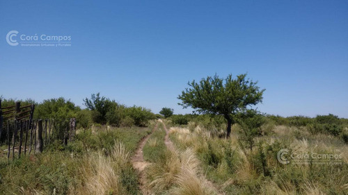 Se Vende Campo Ganadero En Mendoza, Rio Diamante. San Rafael.