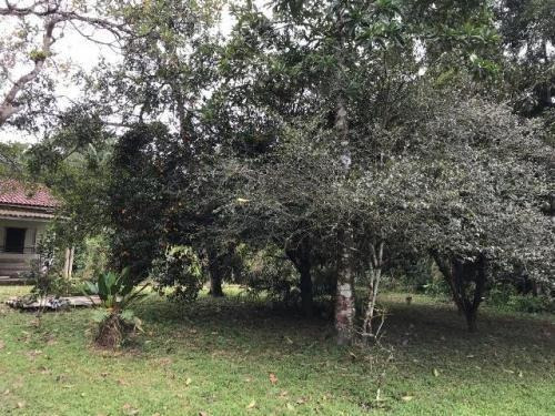 Imagem 9 de 14 de Chácara No Bairro Bopiranga, Em Itanhaém, 3 Quartos, 5773 Wa