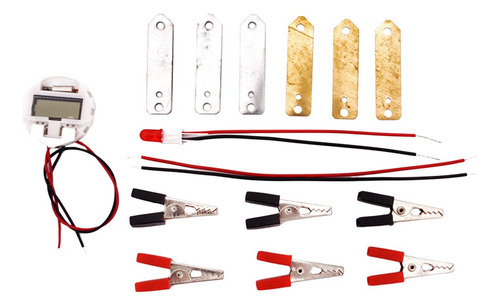 4 Kit De Experimentos Científicos Con Batería De Frutas,