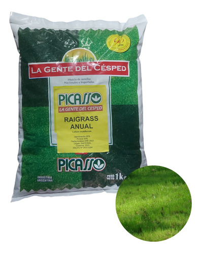 Semillas De Césped Resiembra Picasso Rye Grass Anual X 1kg