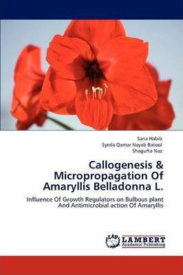 Libro Callogenesis & Micropropagation Of Amaryllis Bellad...