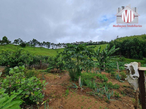 Imagem 15 de 28 de Chácara Com Escritura, Ótima Localização, 2 Dormitórios, Nascente, Lago, Rica Em Água, Internet, À Venda, 4000 M² Por R$ 750.000 - Pedra Bela/sp - Ch1178