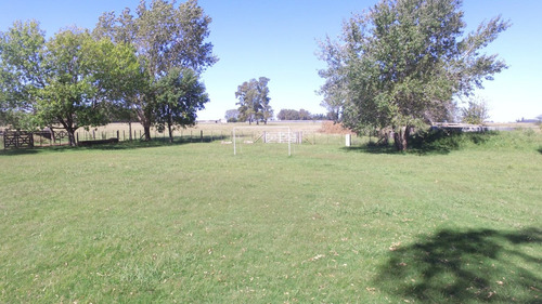 Imagen 3 de 14 de En Venta 35 Has Agricolas Con Muchas Mejoras. Mercedes (b)