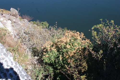 Imagen 3 de 5 de Terreno En Venta Con Agradable Vista Al Lago Y Las Montañas.