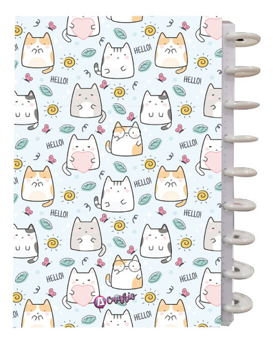 Cuaderno Discos T/frances 80hjs 105grs Pastadura 2 Separador Gatitos